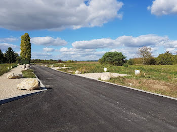 terrain à Saint-Benoît-sur-Loire (45)