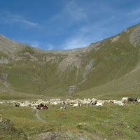 Paradiso dei monti di 