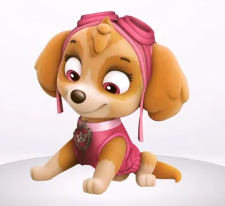 Learn Colors with paw patrol Skye’s uniform