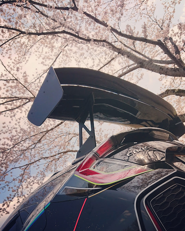 シビックのコロさんに負けるな・桜とコラボ・桜と愛車・桜・ドライブに関するカスタム事例の投稿画像2枚目