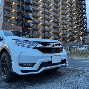 CR-V RW2