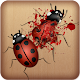 Ladybug Smasher Game Download on Windows