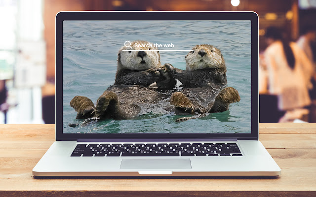 Otters HD Wallpapers Pet Theme