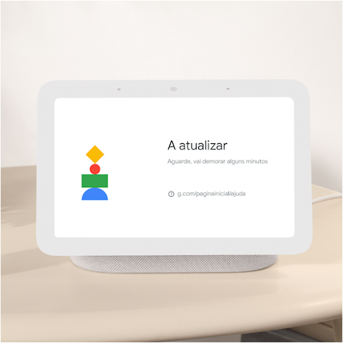 Google Nest Hub, Guia de privacidade e segurança