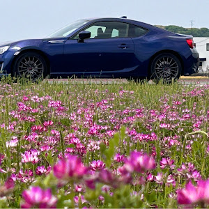 BRZ ZC6