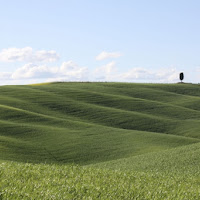 Dune verdi di 