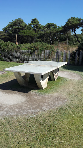 Table De Ping-Pong 