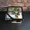 miniatures image - 0