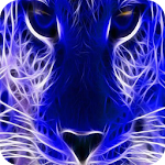 Blue shining leopard live wp Apk