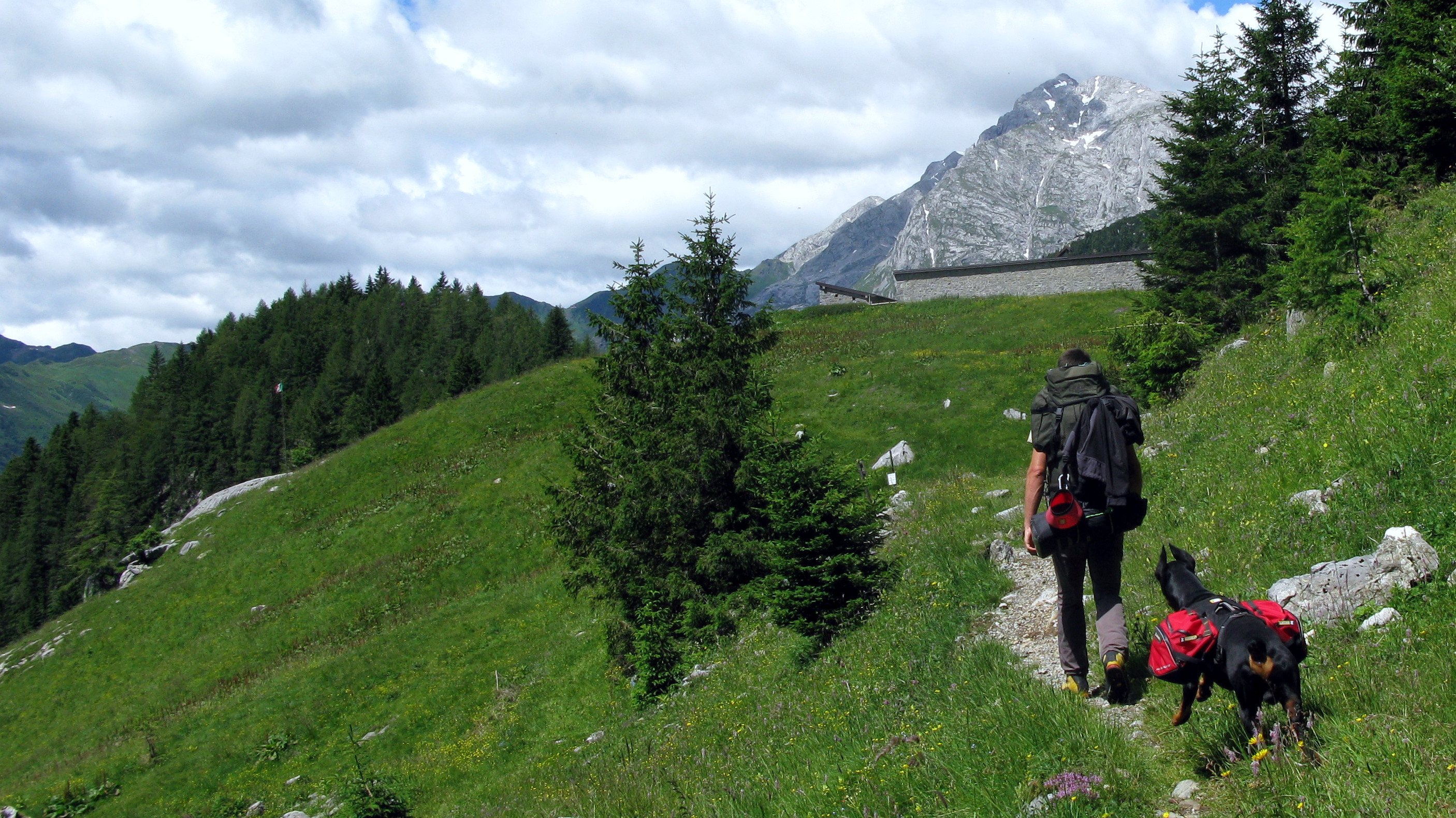 Into the Wild di MTB_Friuli