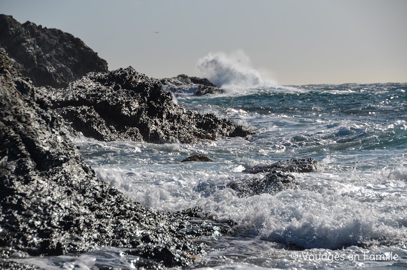 Ile Grand Gaou - Cap Sicié