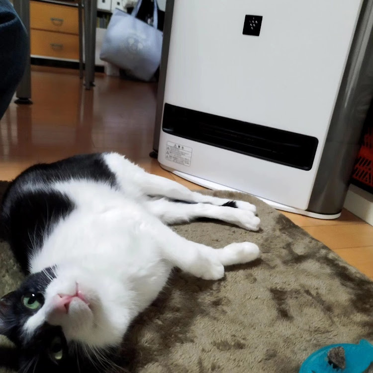 シビックタイプRのノリノリさんが投稿したカスタム事例の投稿画像4枚目
