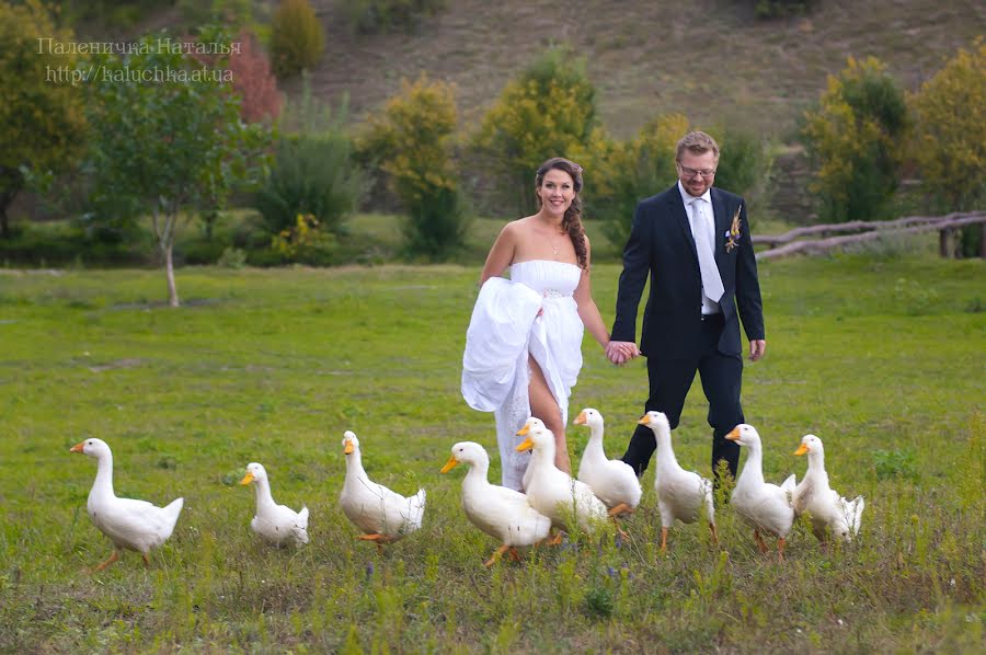 Düğün fotoğrafçısı Natalya Palenichka (palenichka). 11 Ocak 2014 fotoları