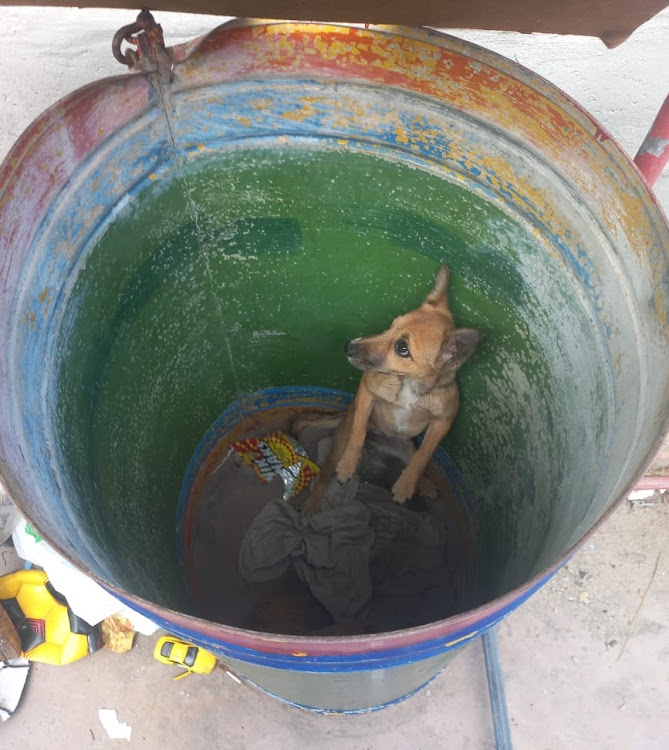 The lid of the steel drum was weighted down by a heavy piece of wood.