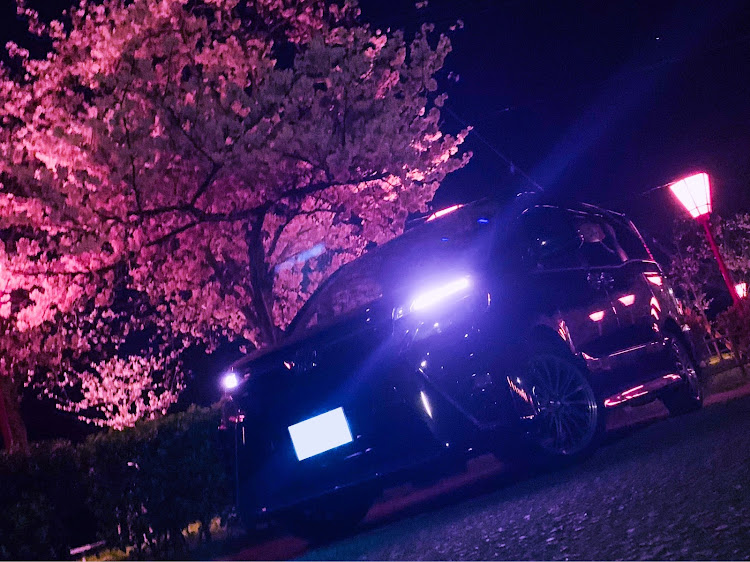 ヴォクシーのドライブ・夜桜と愛車・夜桜に関するカスタム事例の投稿画像1枚目