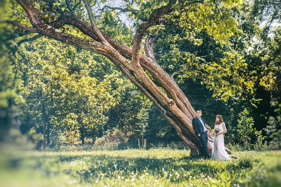 Fotografer pernikahan Julia Tomasz Piechel (migafka). Foto tanggal 16 November 2017