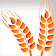 Celiac Disease Wheat & Gluten icon