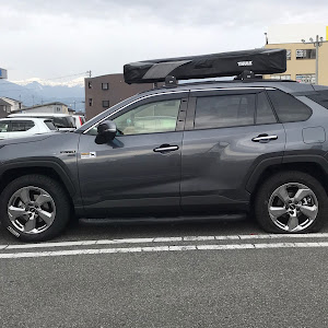 RAV4 AXAH54