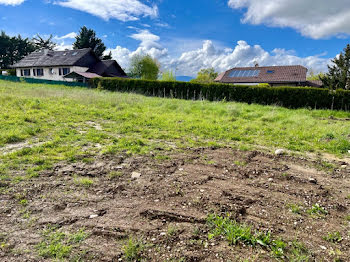 maison neuve à Bellegarde-sur-Valserine (01)