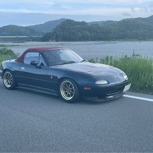 ロードスター NA8C