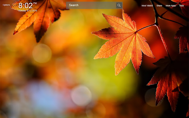 Leaf Wallpapers Theme New Tab