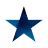 Star Ticks icon