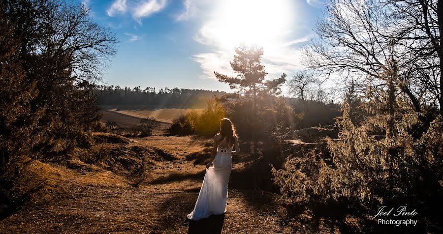 Fotógrafo de bodas Joel Pinto (joelpintophoto). Foto del 17 de febrero 2019