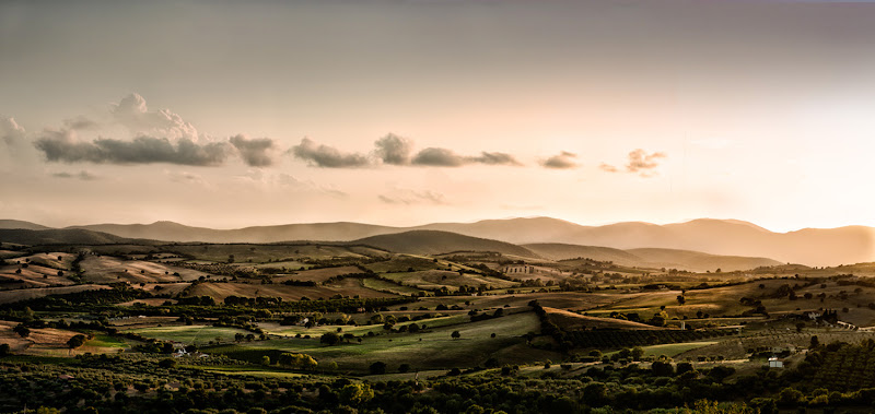 siepi di confine di bi