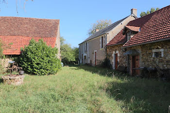 propriété à Neuvy-Deux-Clochers (18)