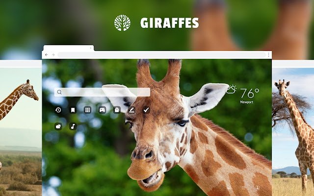 Giraffe HD Wallpaper New Tab Theme