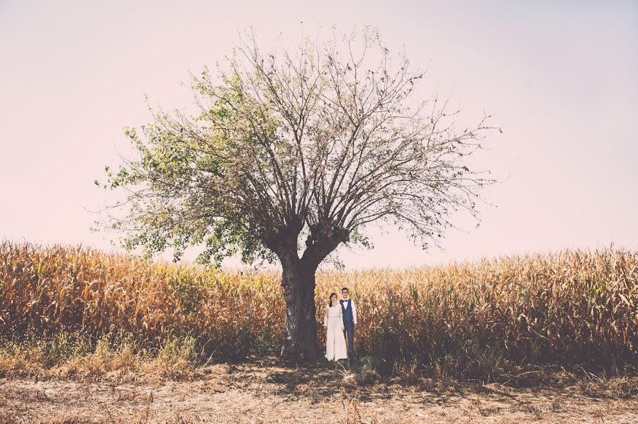 Fotografo di matrimoni Silvio Massolo (silviomassolo). Foto del 14 luglio 2022