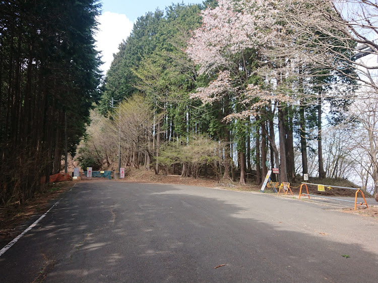 S1 スポーツバックのアウディS1スポーツバック・アウディのある風景・桜と愛車・ピックアップにゃ程遠い(笑)に関するカスタム事例の投稿画像6枚目