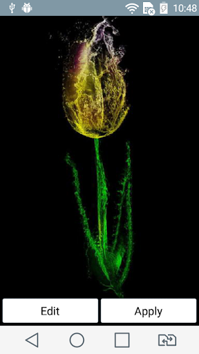 Unusual tulip live wallpaper