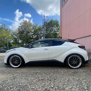 C-HR NGX50