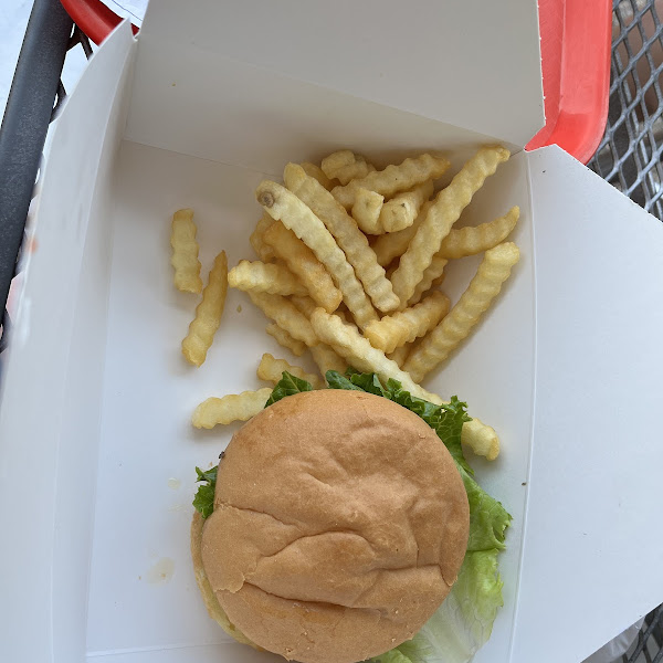 Chicken burger with gluten free bun and fries.