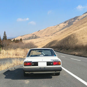 カリーナ