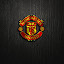 Manchester United Wallpapers HD Theme