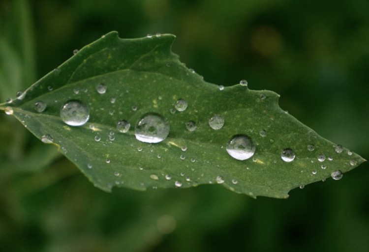 Acqua.  di _anna_dai