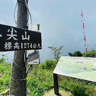 嘉義梅山二尖山休閒茶園