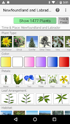 Newfoundland Wildflowers app interface screenshot screenshot
