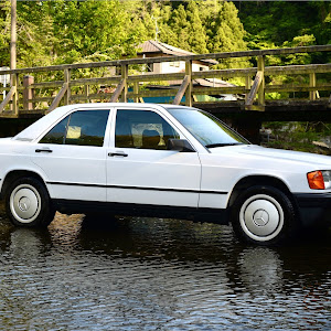 190シリーズ W201