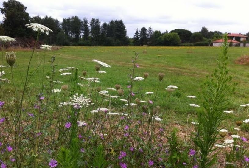  Vente Terrain à bâtir - 480m² à La Lande-de-Fronsac (33240) 