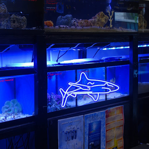 Title 8, LED Neon Light for indoor and outdoor wall deco...