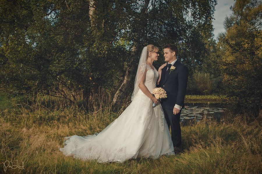 Hochzeitsfotograf Pia Lindstrom (pialind). Foto vom 30. März 2019