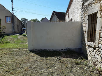 maison à Saint-Loup-des-Vignes (45)