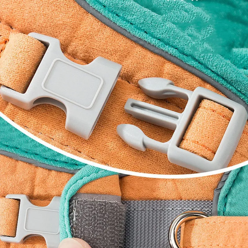 Harnais anti-évasion pour chat extérieur avec laisse réfléchissante et gilet. Contrôle optimal, sécurité renforcée, idéal pour les promenades et aventures.