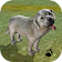 Sheepdog Simulator icon