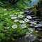 Item logo image for White chrysanthemum wallpaper