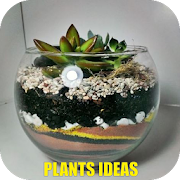 Plants Ideas  Icon