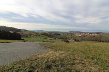 terrain à Montchal (42)